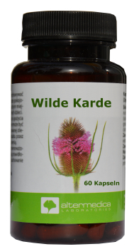 Wild carded extract capsules in borreliosis, skin infections, acne, eczema, joint pain, stiffness, antibacterial, anti-inflammatory, digestive